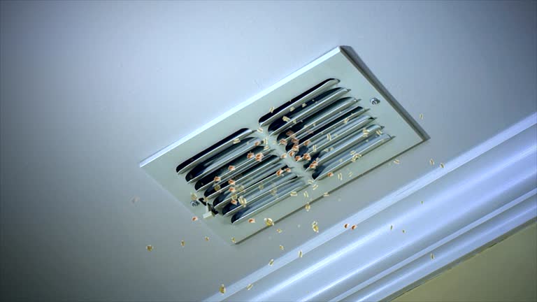 Best Commercial Air Duct Cleaning  in Hilton, NY