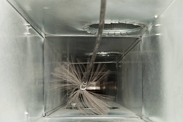 Best Air Duct Mold Removal  in Hilton, NY